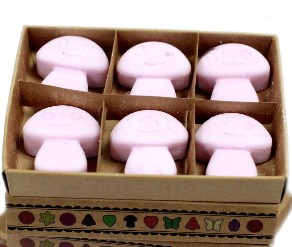 Caja de 6 ceras de soja para fundir- Ylang Ylang