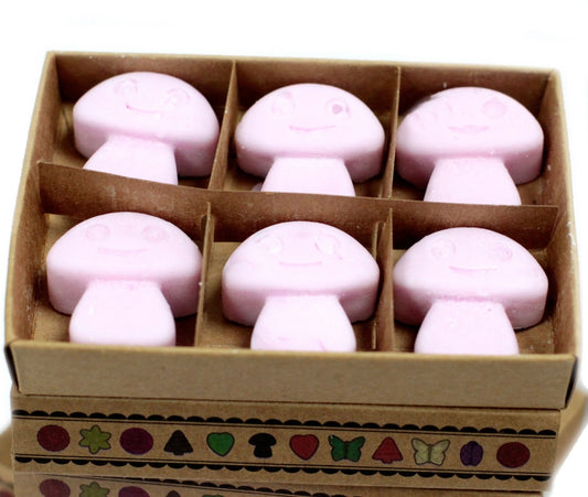 Caja de 6 ceras de soja para fundir- Ylang Ylang